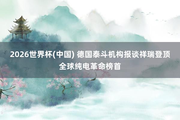 2026世界杯(中国) 德国泰斗机构报谈祥瑞登顶全球纯电革命榜首