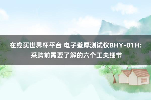 在线买世界杯平台 电子壁厚测试仪BHY-01H: 采购前需要了解的六个工夫细节