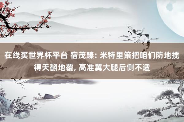 在线买世界杯平台 宿茂臻: 米特里策把咱们防地搅得天翻地覆， 高准翼大腿后侧不适