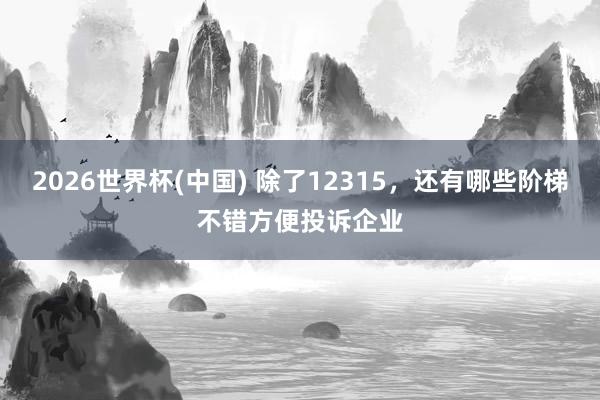 2026世界杯(中国) 除了12315，还有哪些阶梯不错方便投诉企业