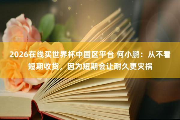 2026在线买世界杯中国区平台 何小鹏：从不看短期收货，因为短期会让耐久更灾祸