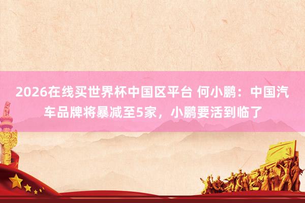 2026在线买世界杯中国区平台 何小鹏：中国汽车品牌将暴减至5家，小鹏要活到临了