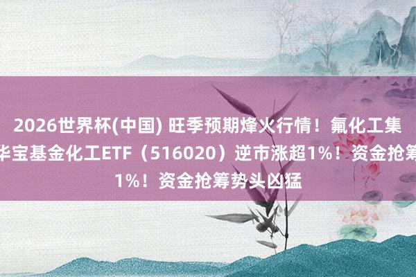 2026世界杯(中国) 旺季预期烽火行情！氟化工集体飙涨，华宝基金化工ETF（516020）逆市涨超1%！资金抢筹势头凶猛