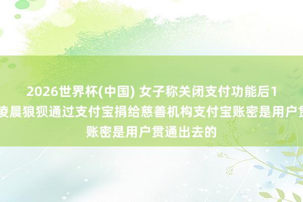 2026世界杯(中国) 女子称关闭支付功能后180多万元凌晨狼狈通过支付宝捐给慈善机构支付宝账密是用户贯通出去的