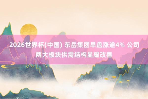 2026世界杯(中国) 东岳集团早盘涨逾4% 公司两大板块供需结构显耀改善