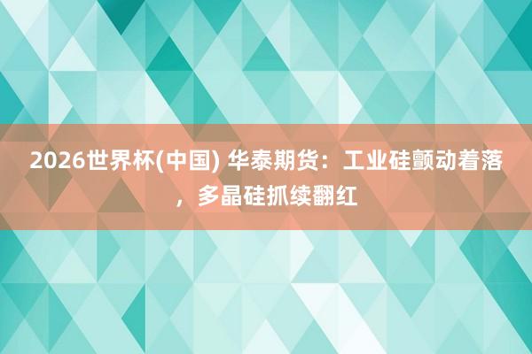 2026世界杯(中国) 华泰期货：工业硅颤动着落，多晶硅抓续翻红