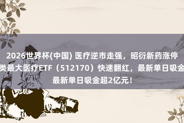 2026世界杯(中国) 医疗逆市走强，昭衍新药涨停封板！同类最大医疗ETF（512170）快速翻红，最新单日吸金超2亿元！