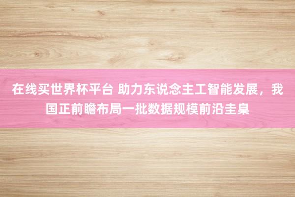 在线买世界杯平台 助力东说念主工智能发展，我国正前瞻布局一批数据规模前沿圭臬