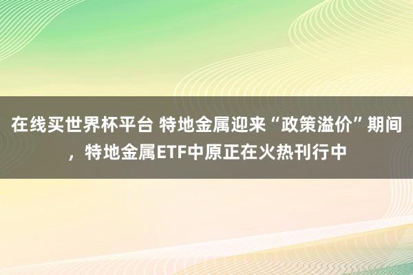 在线买世界杯平台 特地金属迎来“政策溢价”期间，特地金属ETF中原正在火热刊行中