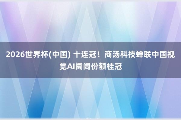 2026世界杯(中国) 十连冠！商汤科技蝉联中国视觉AI阛阓份额桂冠