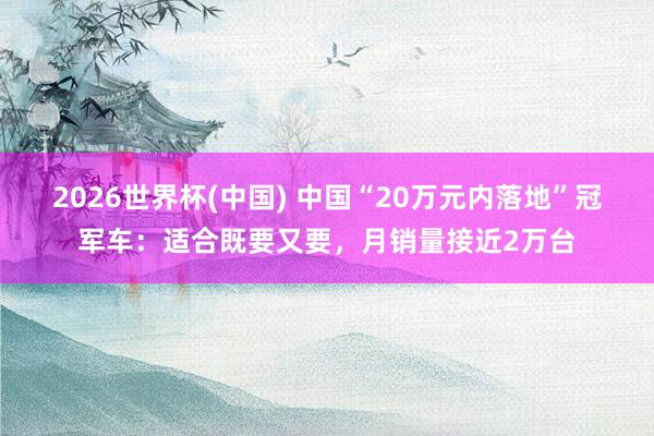 2026世界杯(中国) 中国“20万元内落地”冠军车：适合既要又要，月销量接近2万台
