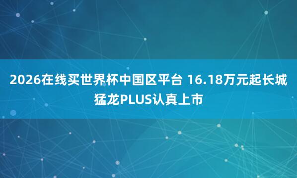 2026在线买世界杯中国区平台 16.18万元起长城猛龙PLUS认真上市