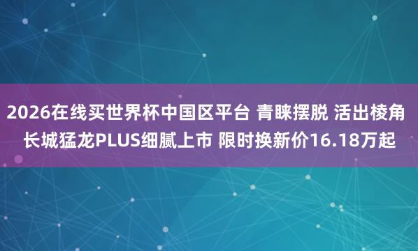 2026在线买世界杯中国区平台 青睐摆脱 活出棱角 长城猛龙PLUS细腻上市 限时换新价16.18万起