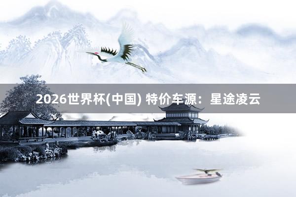 2026世界杯(中国) 特价车源：星途凌云