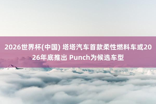 2026世界杯(中国) 塔塔汽车首款柔性燃料车或2026年底推出 Punch为候选车型