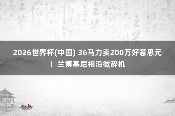 2026世界杯(中国) 36马力卖200万好意思元！兰博基尼相沿微辞机