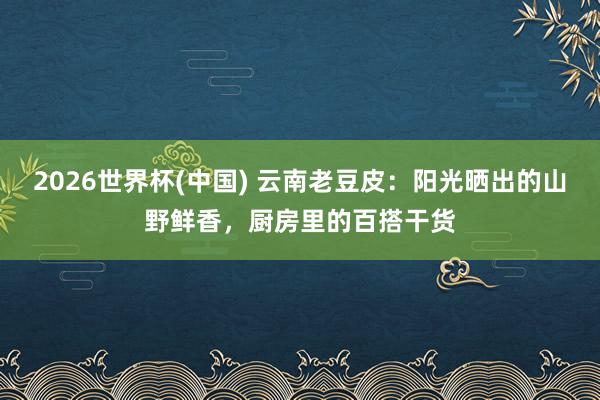 2026世界杯(中国) 云南老豆皮：阳光晒出的山野鲜香，厨房里的百搭干货