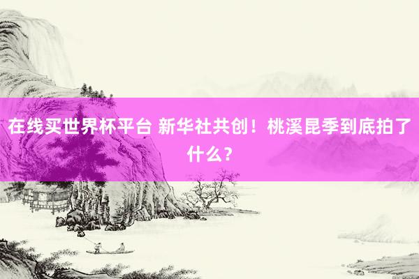 在线买世界杯平台 新华社共创！桃溪昆季到底拍了什么？