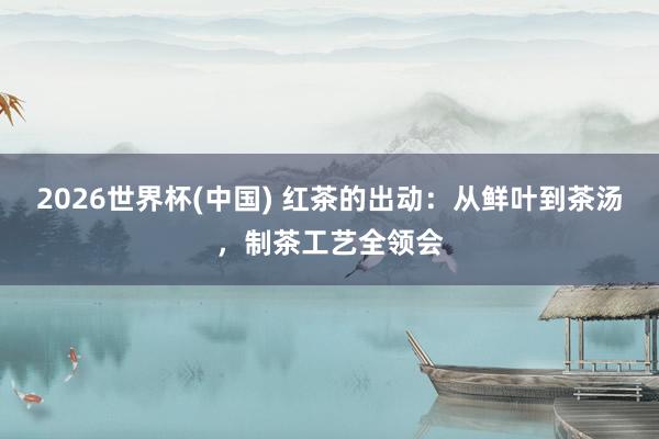 2026世界杯(中国) 红茶的出动：从鲜叶到茶汤，制茶工艺全领会