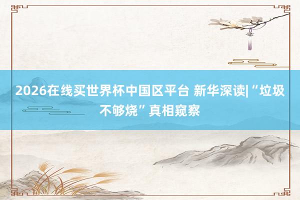 2026在线买世界杯中国区平台 新华深读|“垃圾不够烧”真相窥察