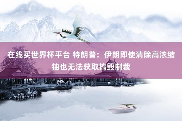 在线买世界杯平台 特朗普：伊朗即使清除高浓缩铀也无法获取捣毁制裁