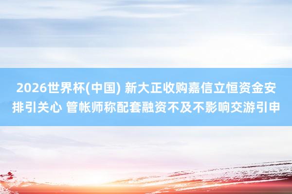 2026世界杯(中国) 新大正收购嘉信立恒资金安排引关心 管帐师称配套融资不及不影响交游引申