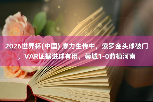 2026世界杯(中国) 廖力生传中，索罗金头球破门，VAR证据进球有用，蓉城1-0莳植河南
