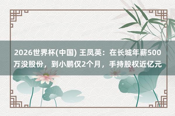 2026世界杯(中国) 王凤英：在长城年薪500万没股份，到小鹏仅2个月，手持股权近亿元