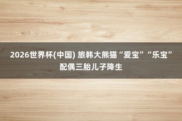 2026世界杯(中国) 旅韩大熊猫“爱宝”“乐宝”配偶三胎儿子降生