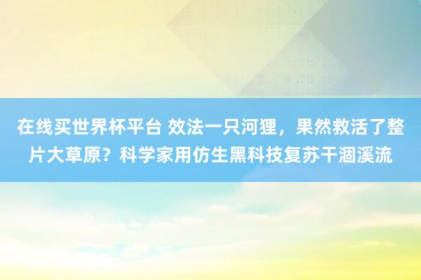 在线买世界杯平台 效法一只河狸，果然救活了整片大草原？科学家用仿生黑科技复苏干涸溪流