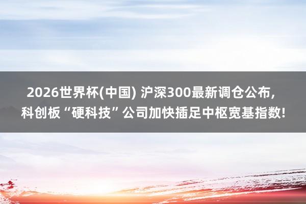 2026世界杯(中国) 沪深300最新调仓公布, 科创板“硬科技”公司加快插足中枢宽基指数!