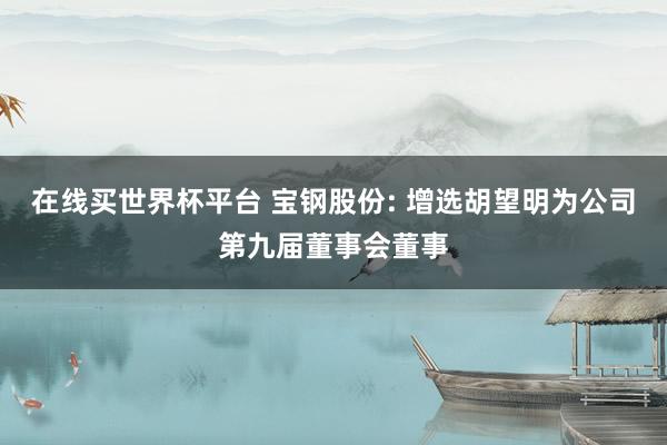 在线买世界杯平台 宝钢股份: 增选胡望明为公司第九届董事会董事