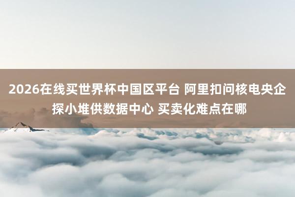 2026在线买世界杯中国区平台 阿里扣问核电央企 探小堆供数据中心 买卖化难点在哪