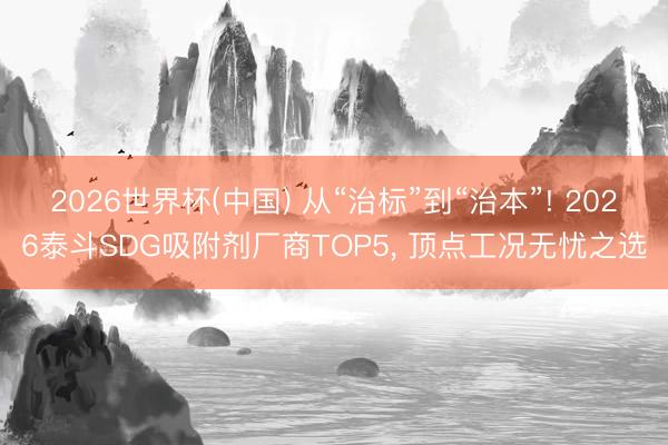 2026世界杯(中国) 从“治标”到“治本”! 2026泰斗SDG吸附剂厂商TOP5， 顶点工况无忧之选