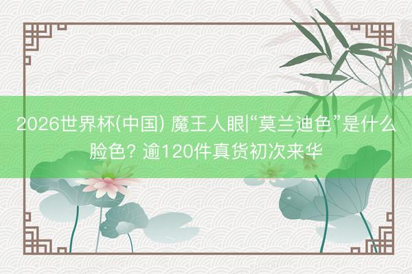 2026世界杯(中国) 魔王人眼|“莫兰迪色”是什么脸色? 逾120件真货初次来华